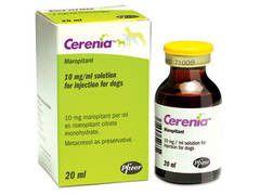 Cerenia (Maropitant) Inj 10 mg/ml 20ml Vial