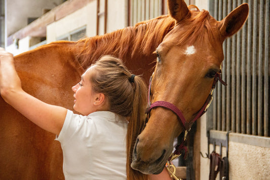 Horse Care: Navicular in Horses