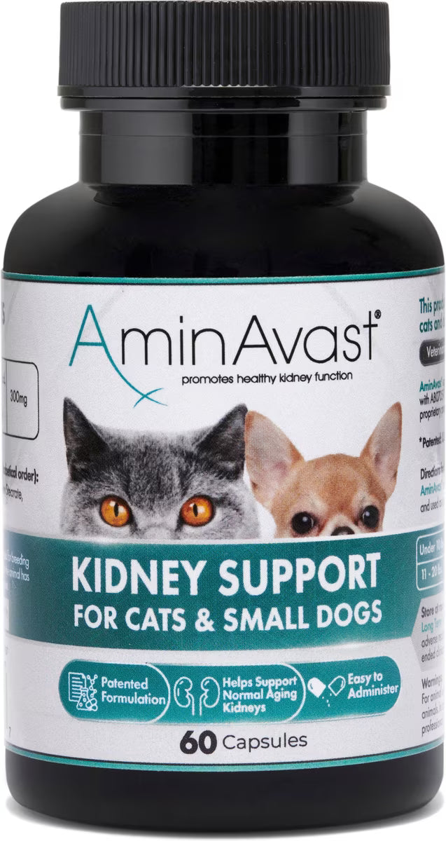 AminAvast Kidney Support for Cats and Small Dogs 60 Capsules