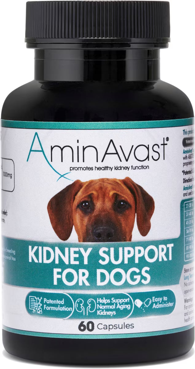 AminAvast Kidney Support for Dogs 60 Capsules