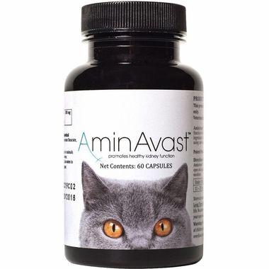 AminAvast Kidney Support for Cats and Small Dogs 60 Capsules