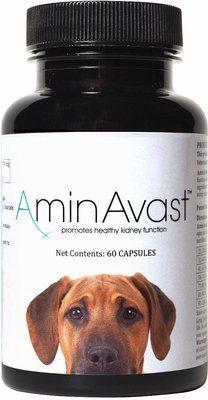 AminAvast Kidney Support for Dogs 60 Capsules