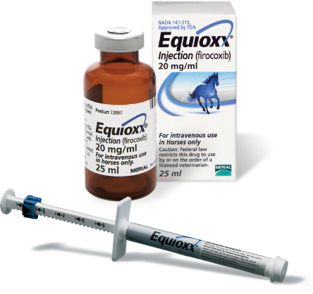 Equioxx Oral Paste 6.93g Syringe