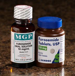 Furosemide Syrup 10 mg/ml, 60 ml Bottle - ThrivingPetsNew