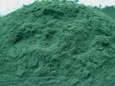 Spirulina Powder 1 lb